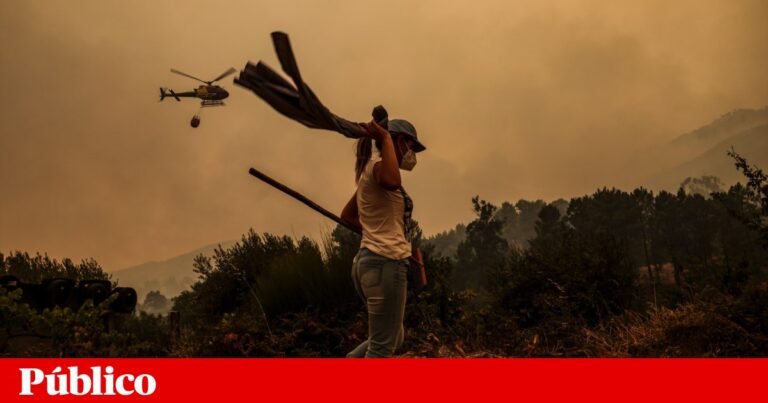 Forest fire this year provoked the third deadly victim to the forest