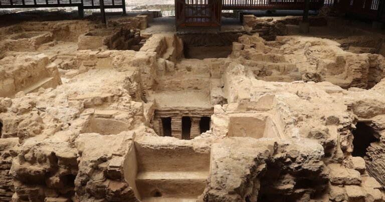 In Gaza, an archaeological treasure has been saved from an Israeli operation